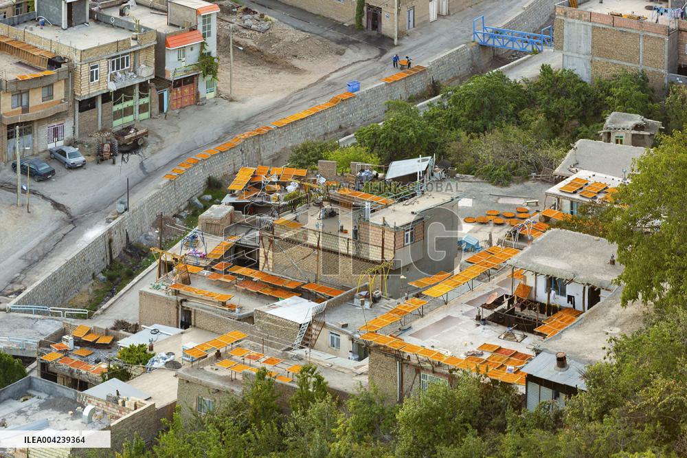 Golden Rooftops - Iran