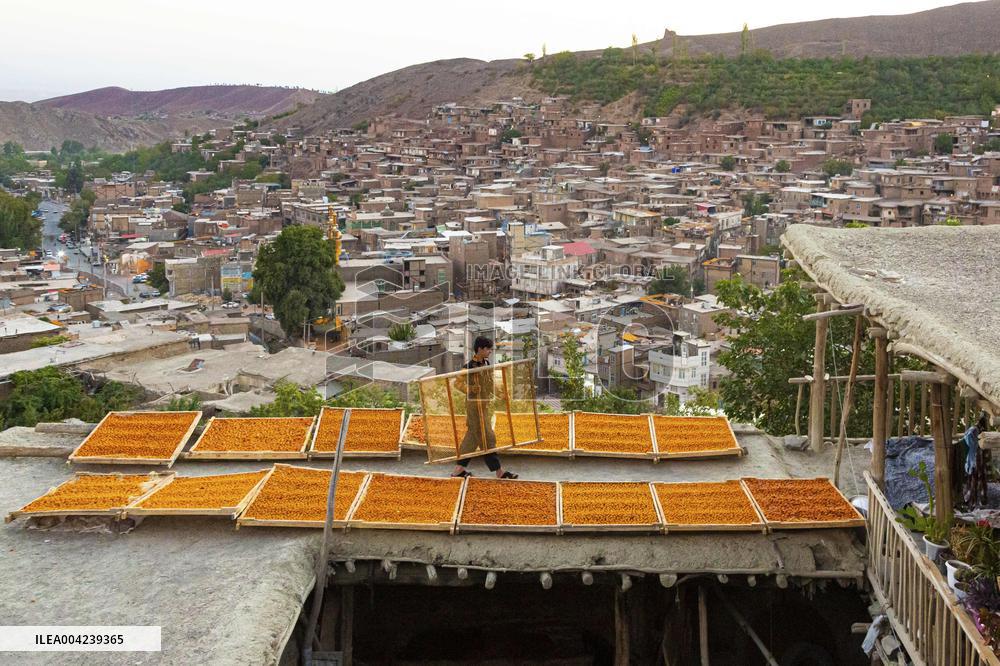 Golden Rooftops - Iran