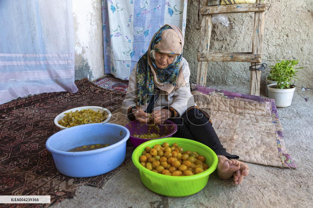 Golden Rooftops - Iran