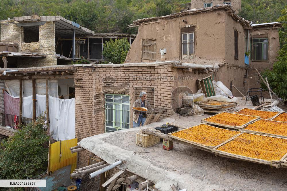 Golden Rooftops - Iran