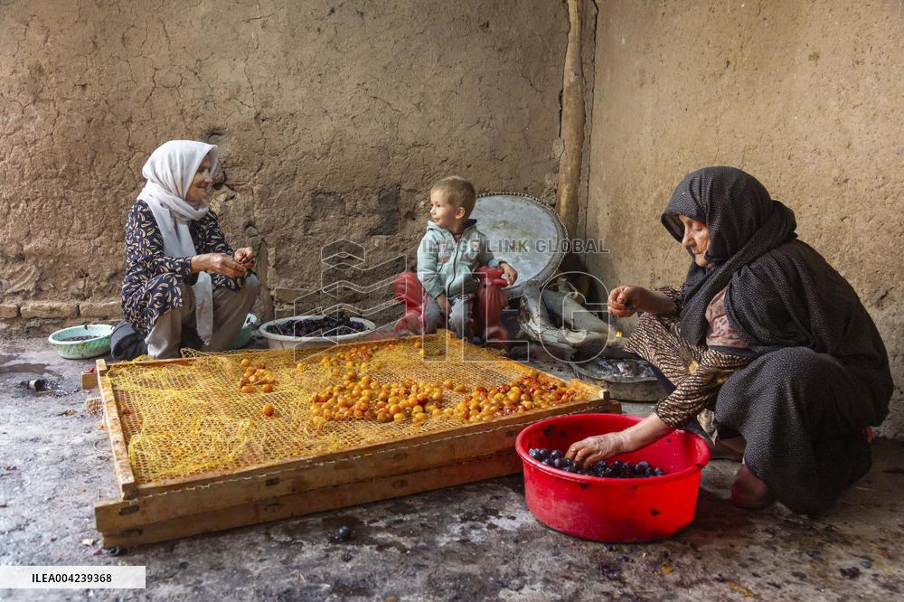 Golden Rooftops - Iran