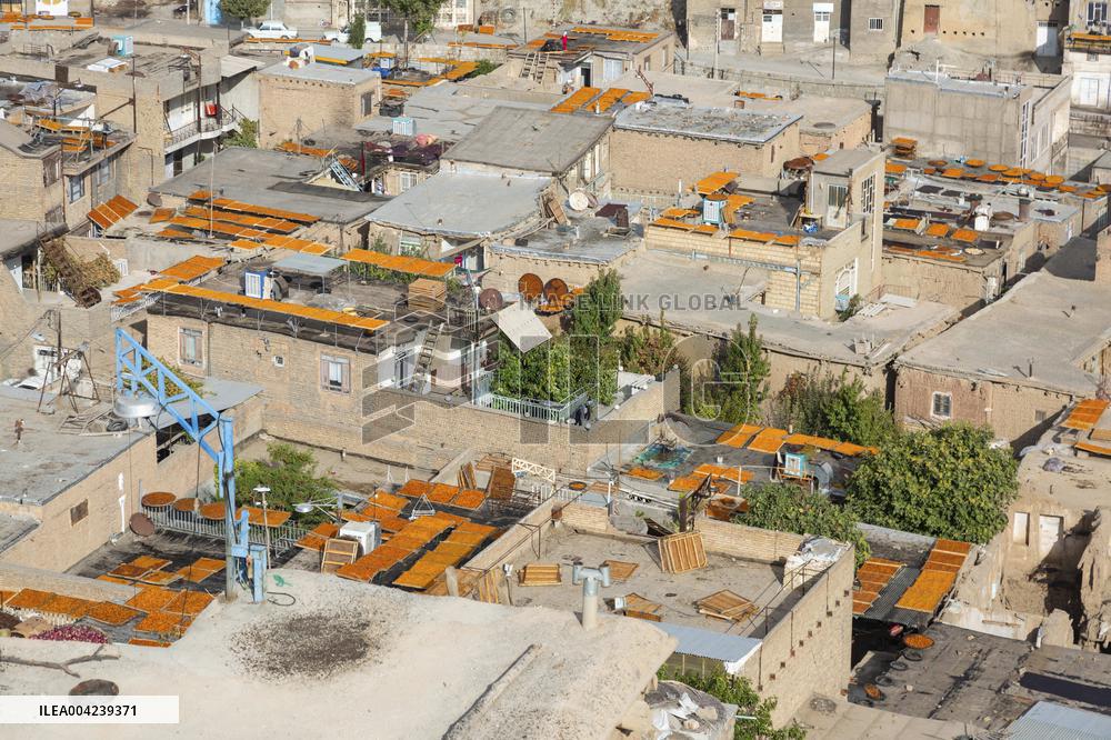 Golden Rooftops - Iran