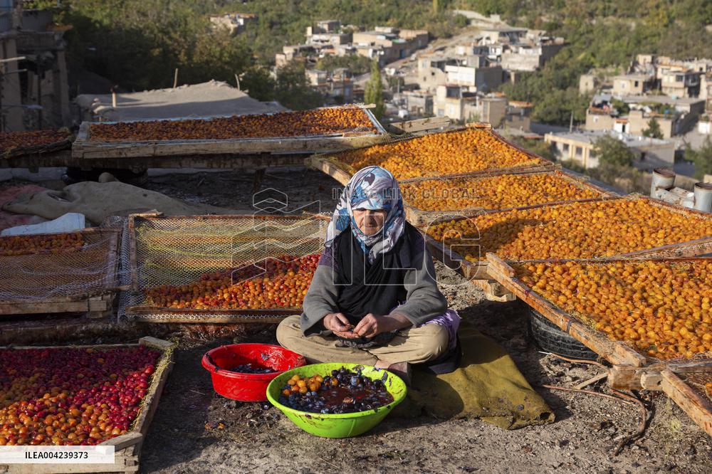 Golden Rooftops - Iran