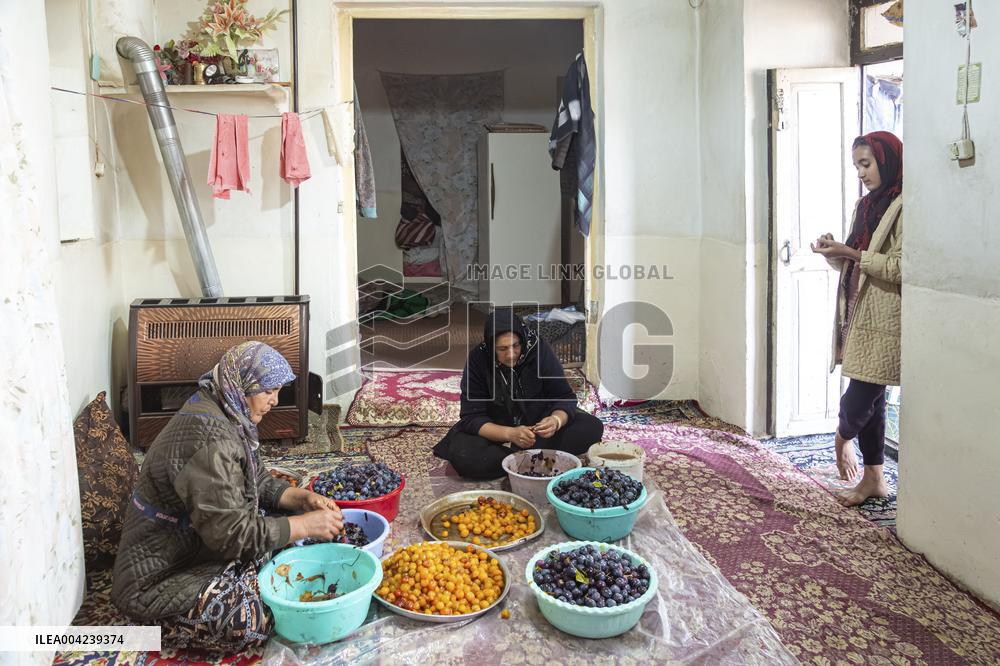 Golden Rooftops - Iran