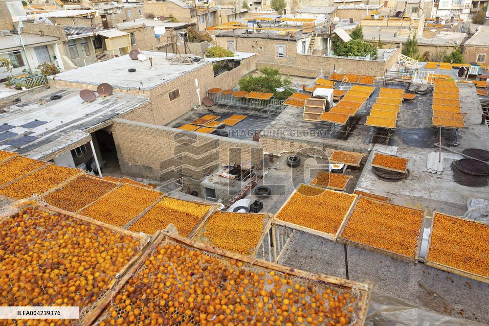 Golden Rooftops - Iran