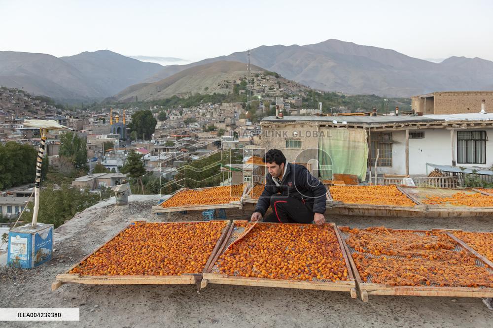 Golden Rooftops - Iran