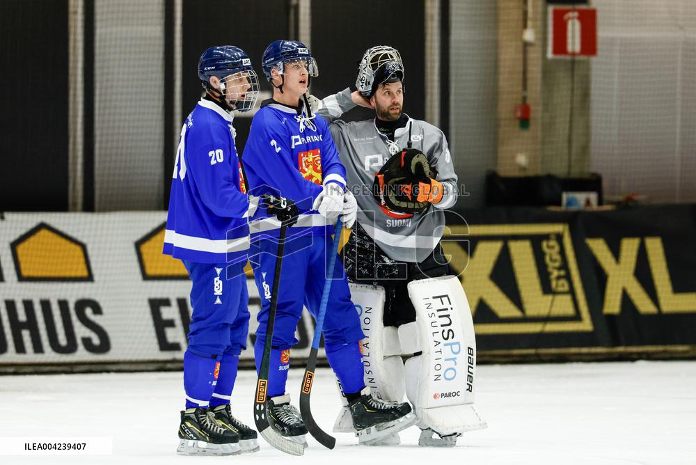 BANDY WC 2025 FINAL SWEDEN - FINLAND