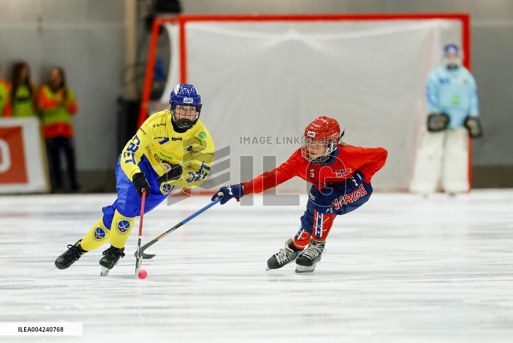BANDY WC 2025 FINAL SWEDEN - NORWAY