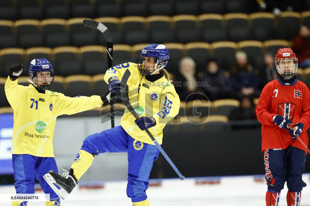 BANDY WC 2025 FINAL SWEDEN - NORWAY