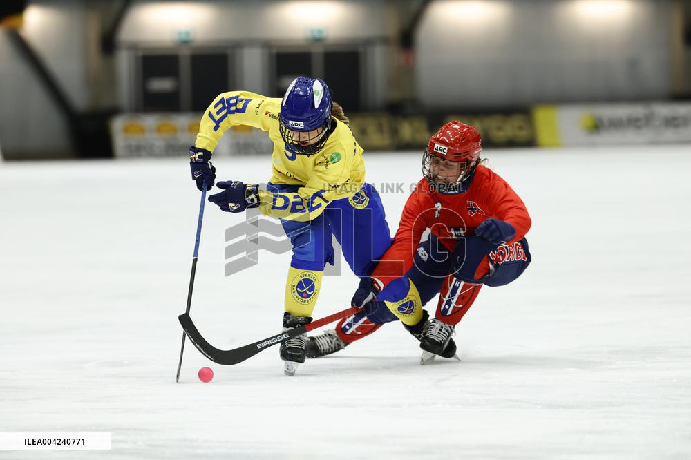 BANDY WC 2025 FINAL SWEDEN - NORWAY