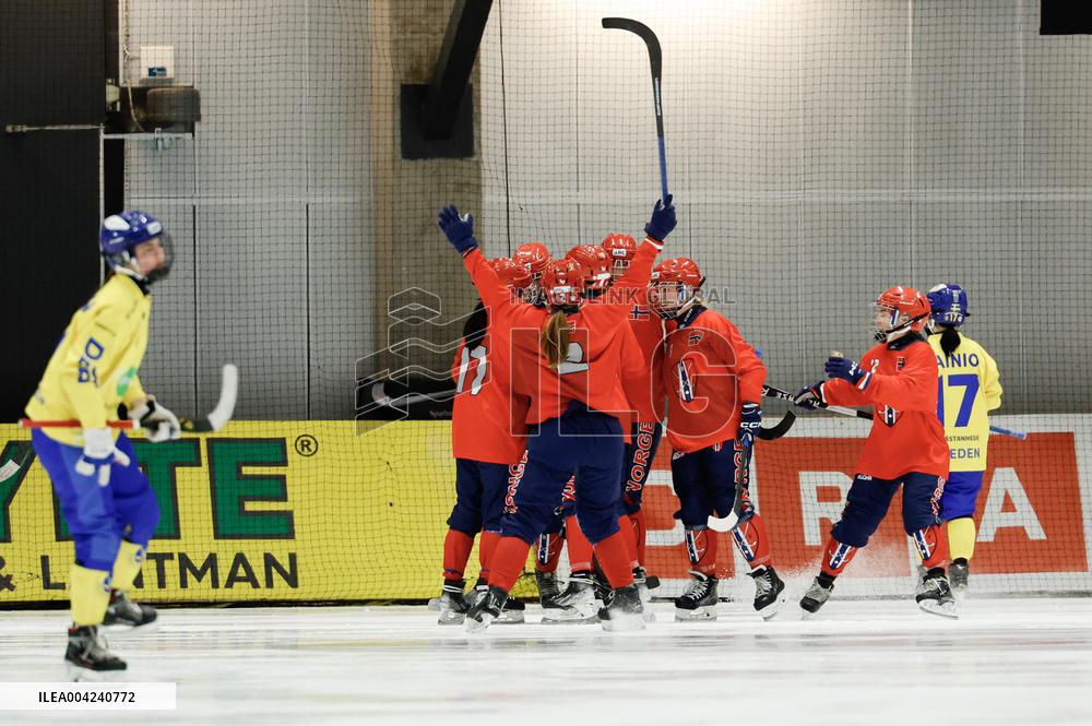 BANDY WC 2025 FINAL SWEDEN - NORWAY