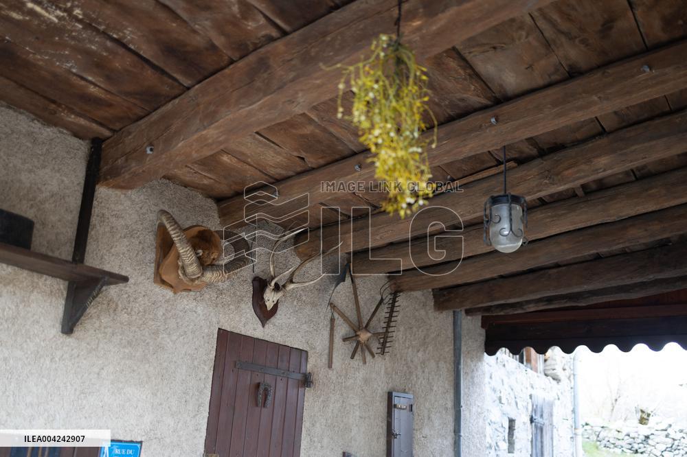 Emile Soleil Murder Investigation