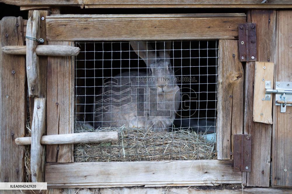 Emile Soleil Murder Investigation