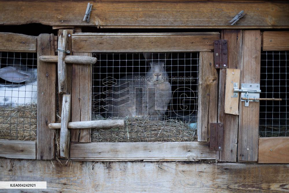 Emile Soleil Murder Investigation