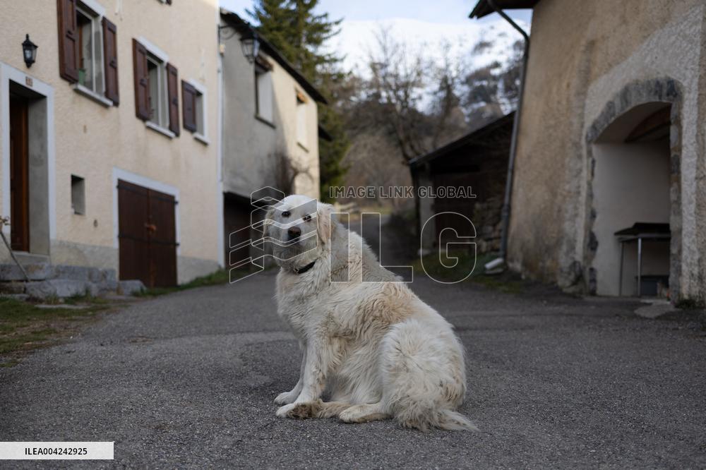 Emile Soleil Murder Investigation