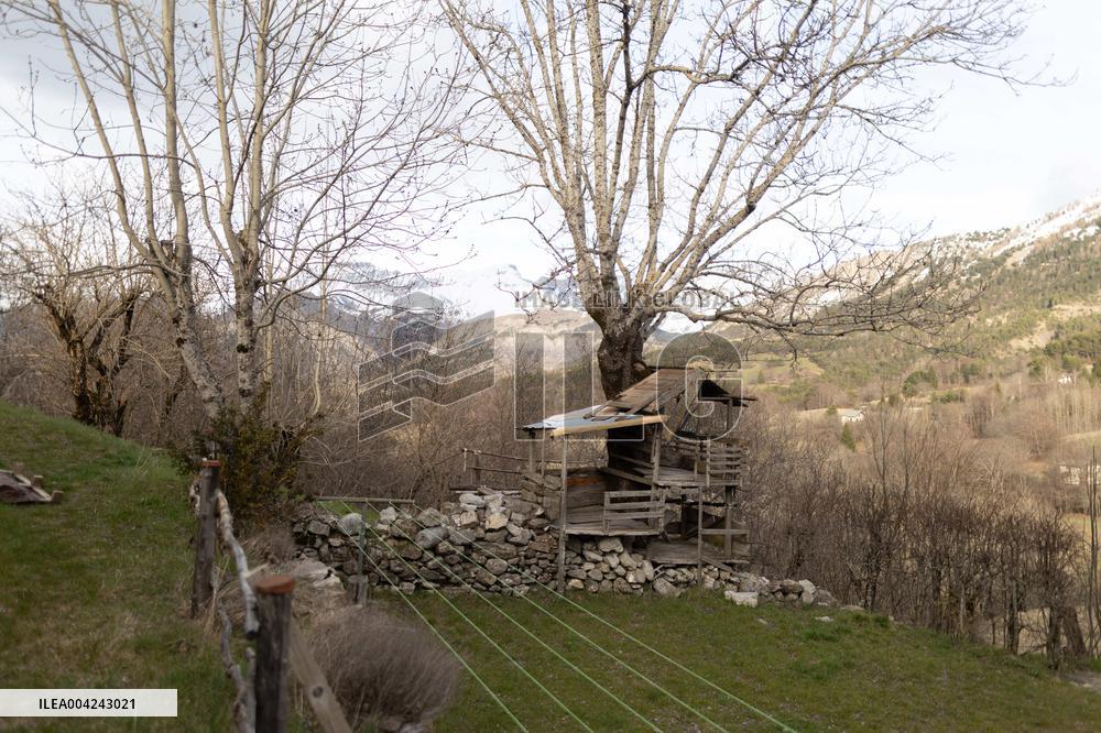 Emile Soleil Murder Investigation