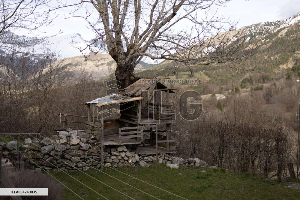 Emile Soleil Murder Investigation