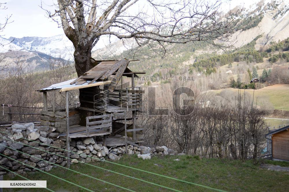 Emile Soleil Murder Investigation