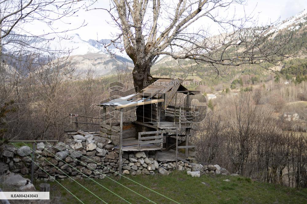 Emile Soleil Murder Investigation