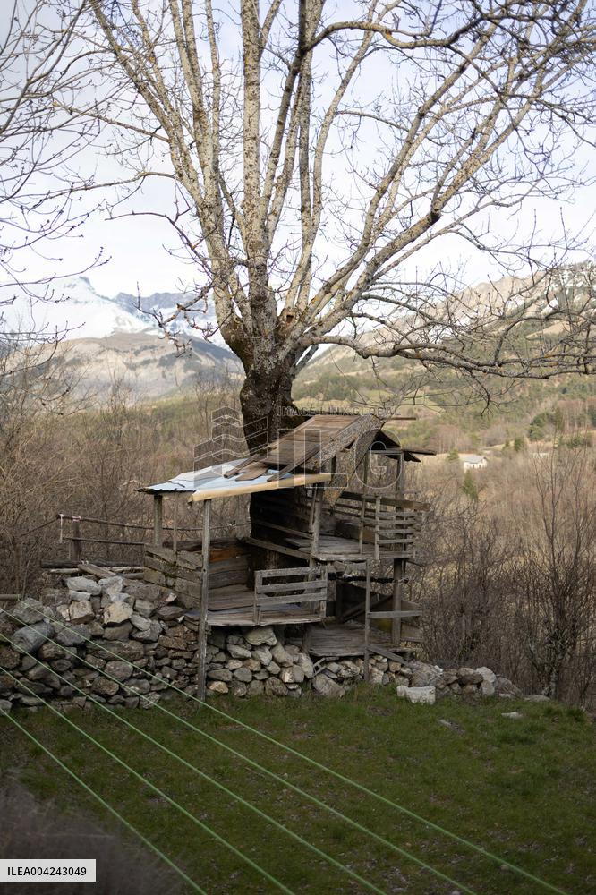 Emile Soleil Murder Investigation