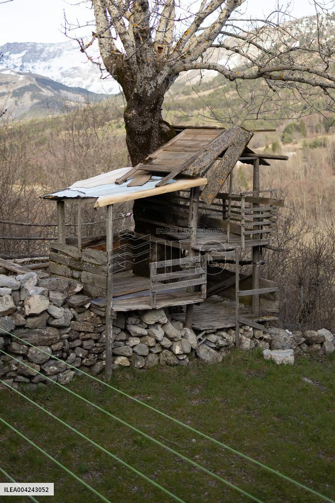 Emile Soleil Murder Investigation