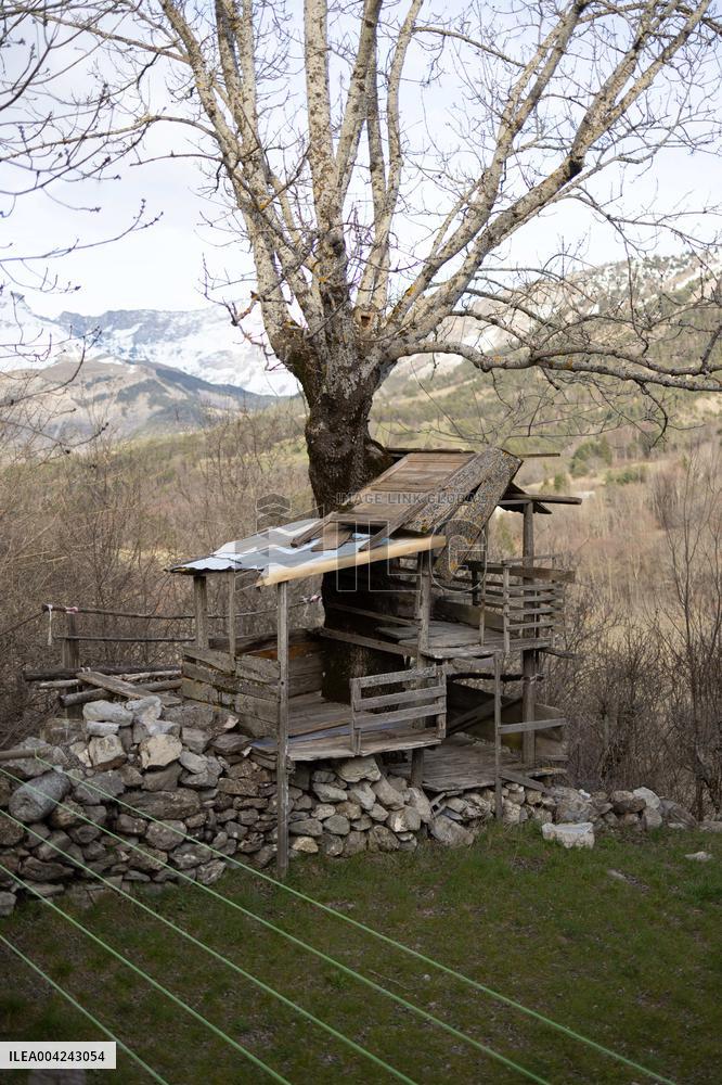 Emile Soleil Murder Investigation