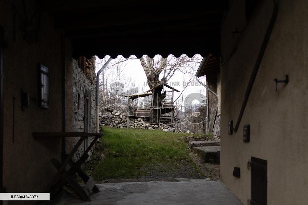 Emile Soleil Murder Investigation