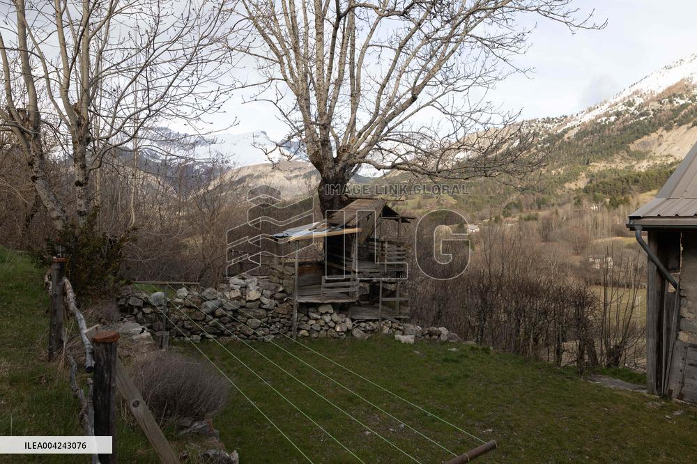 Emile Soleil Murder Investigation