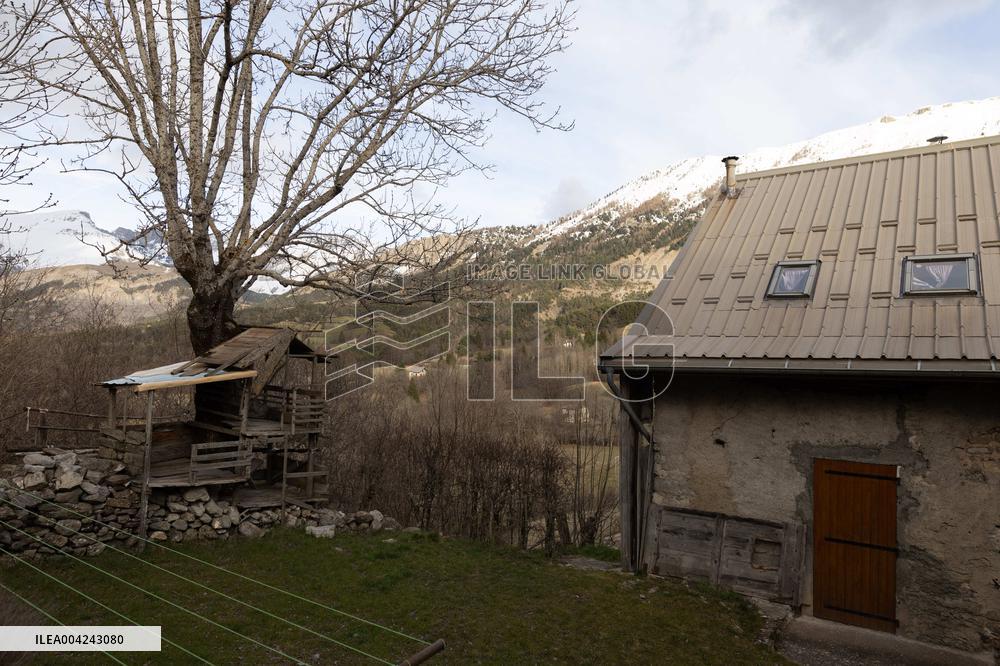 Emile Soleil Murder Investigation