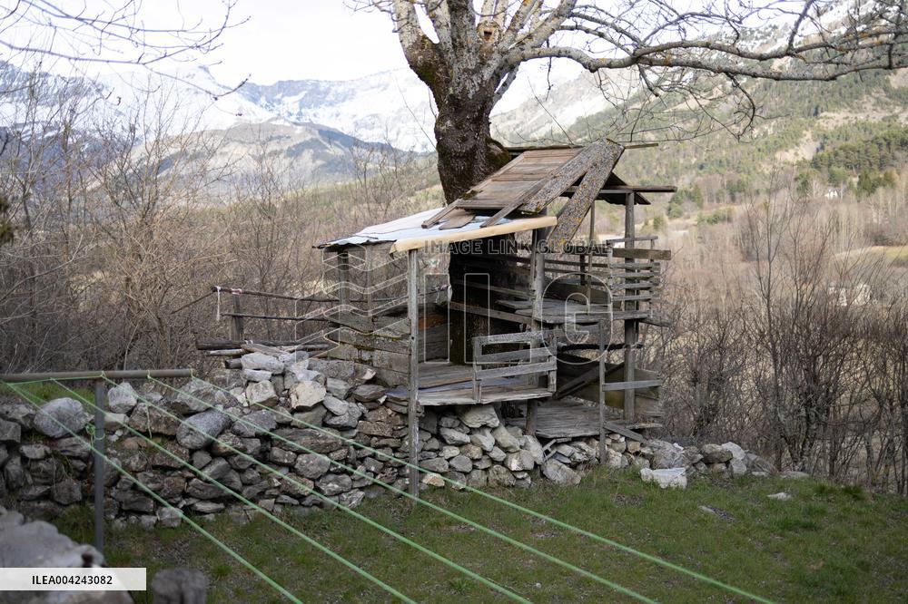 Emile Soleil Murder Investigation