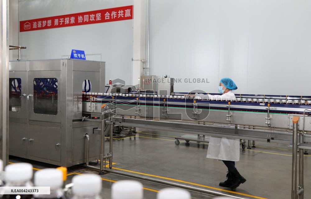Pomegranate Juice Beverage Manufacturing in Zaozhuang