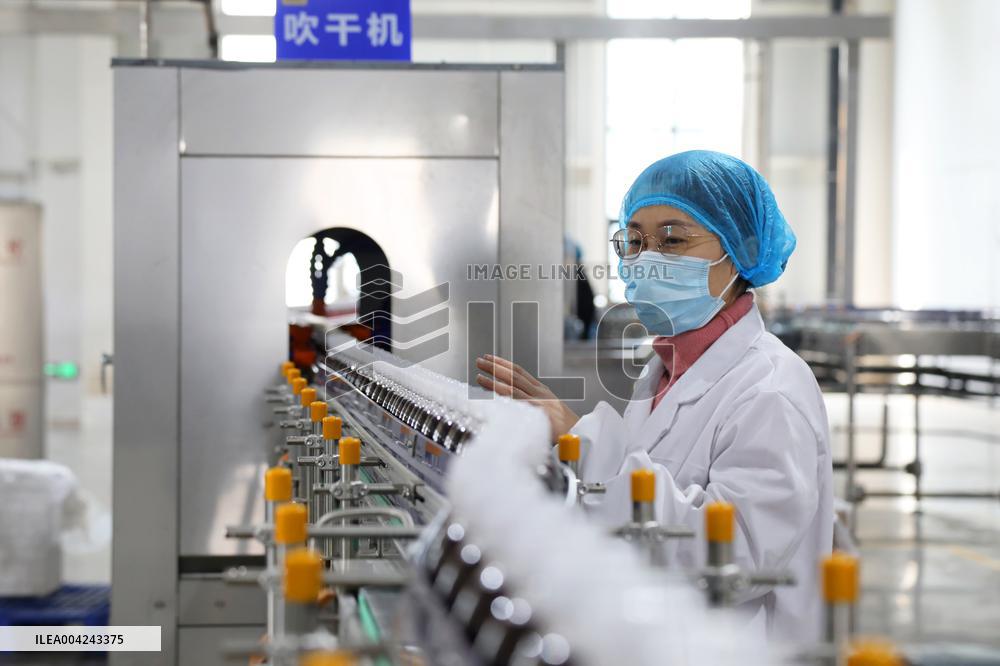 Pomegranate Juice Beverage Manufacturing in Zaozhuang