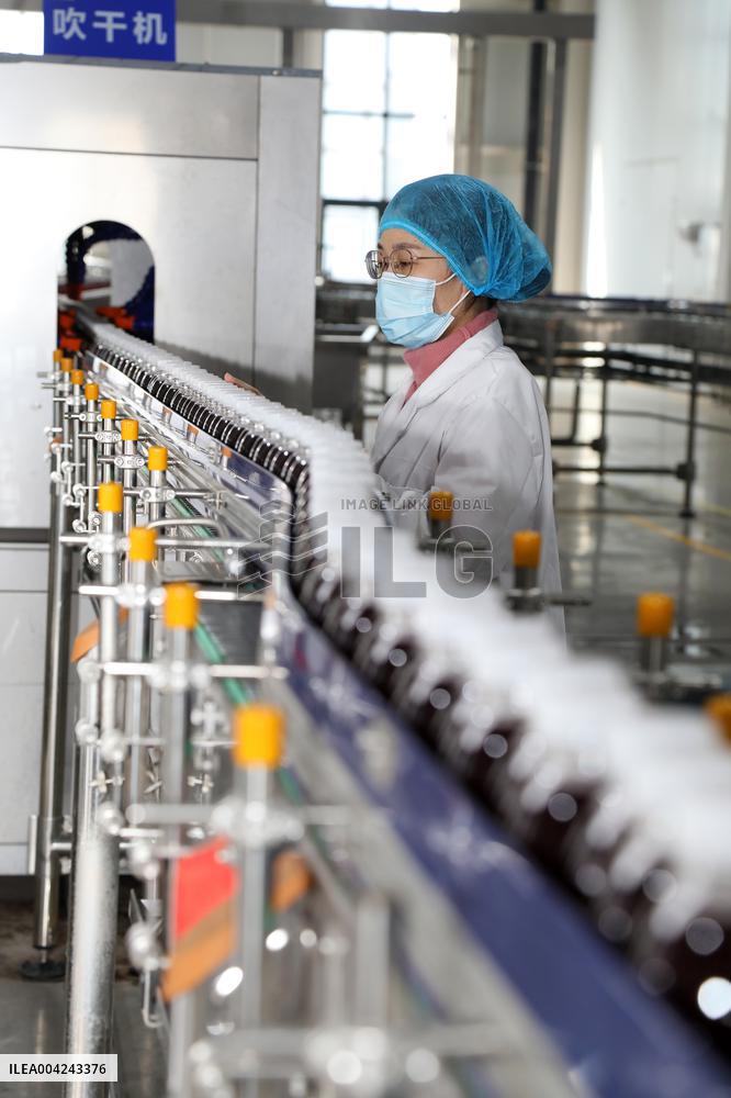 Pomegranate Juice Beverage Manufacturing in Zaozhuang