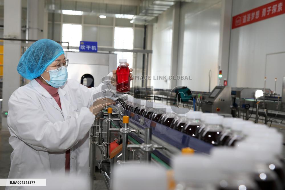 Pomegranate Juice Beverage Manufacturing in Zaozhuang