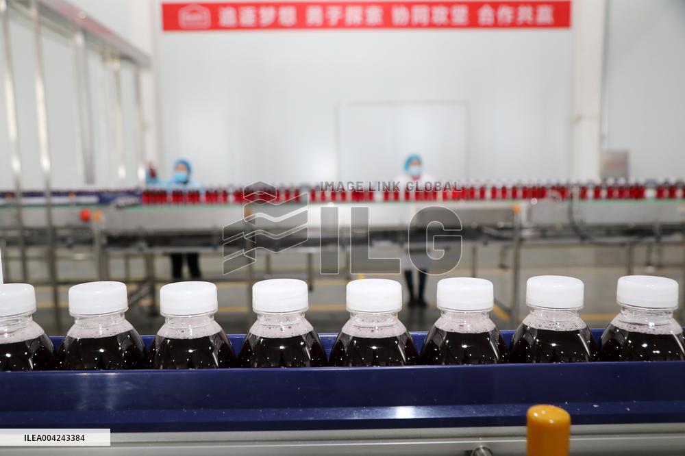 Pomegranate Juice Beverage Manufacturing in Zaozhuang