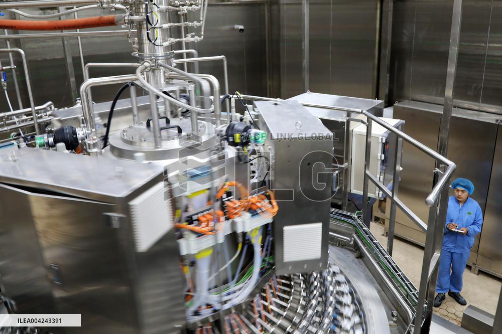 Pomegranate Juice Beverage Manufacturing in Zaozhuang