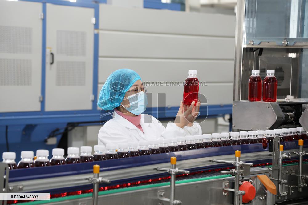 Pomegranate Juice Beverage Manufacturing in Zaozhuang