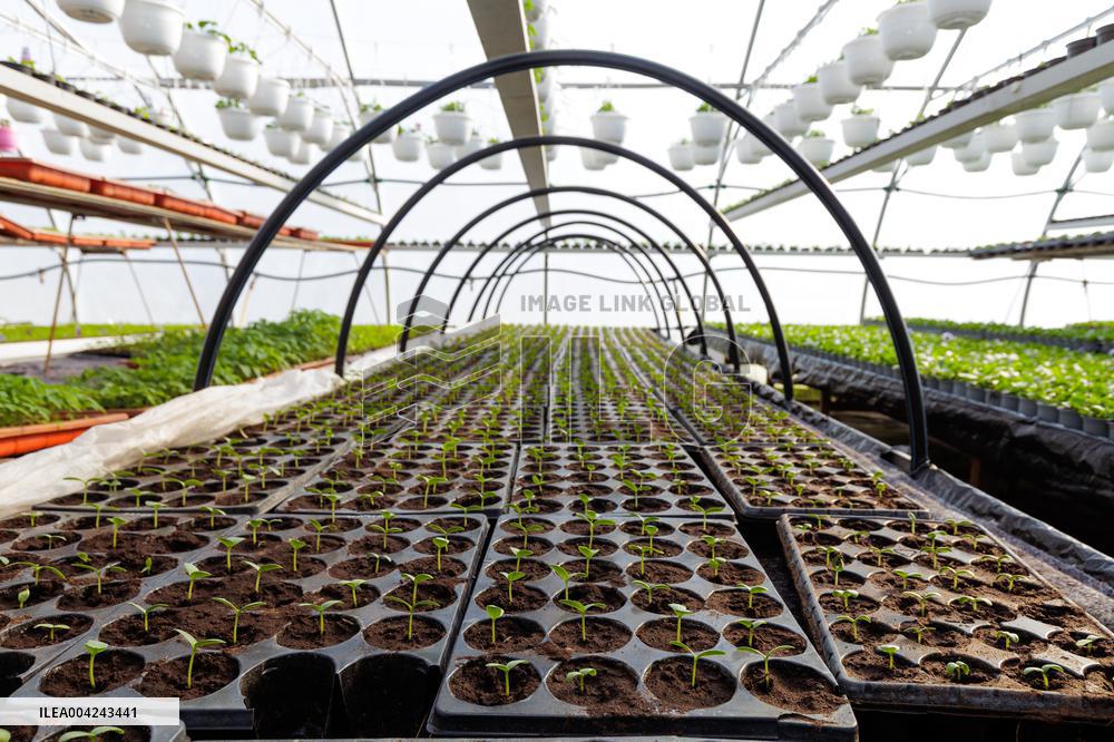 Preparations for the Spring and Summer