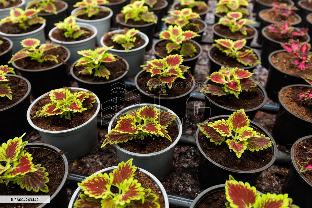 Preparations for the Spring and Summer