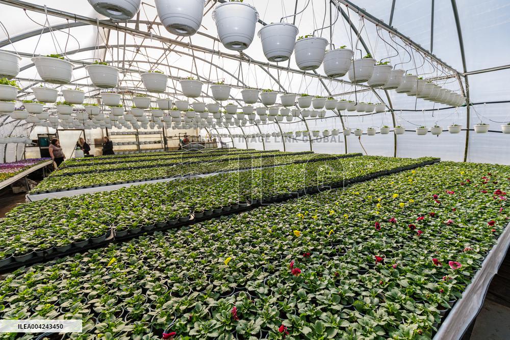 Preparations for the Spring and Summer