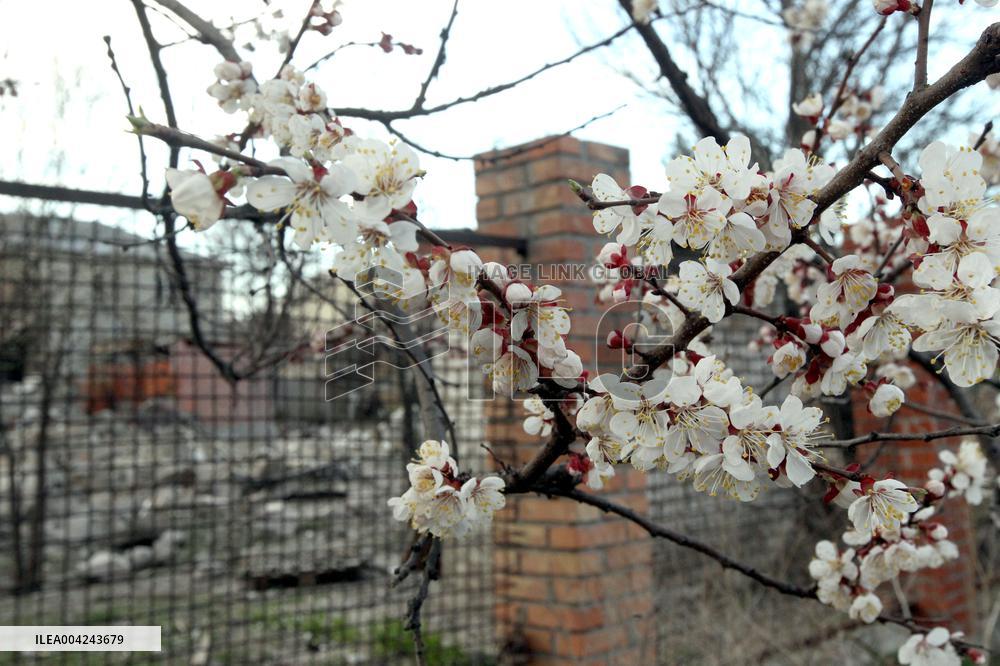 House destroyed by Russian drone strike in Dnipro