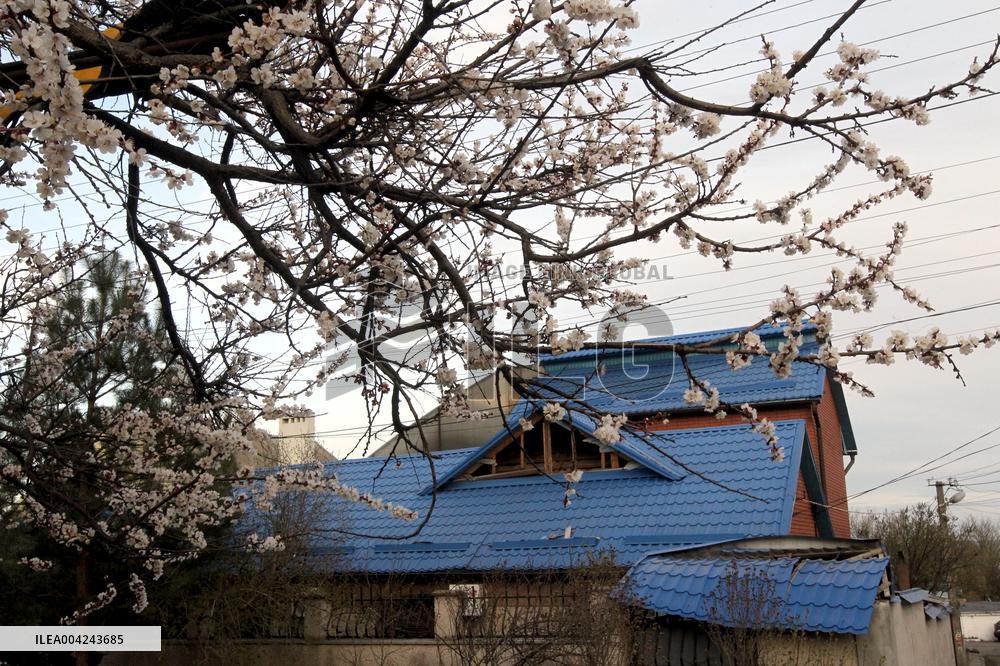 House destroyed by Russian drone strike in Dnipro