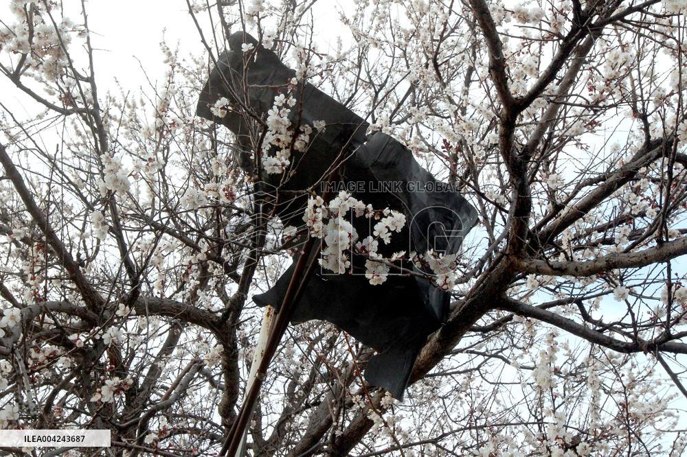 House destroyed by Russian drone strike in Dnipro