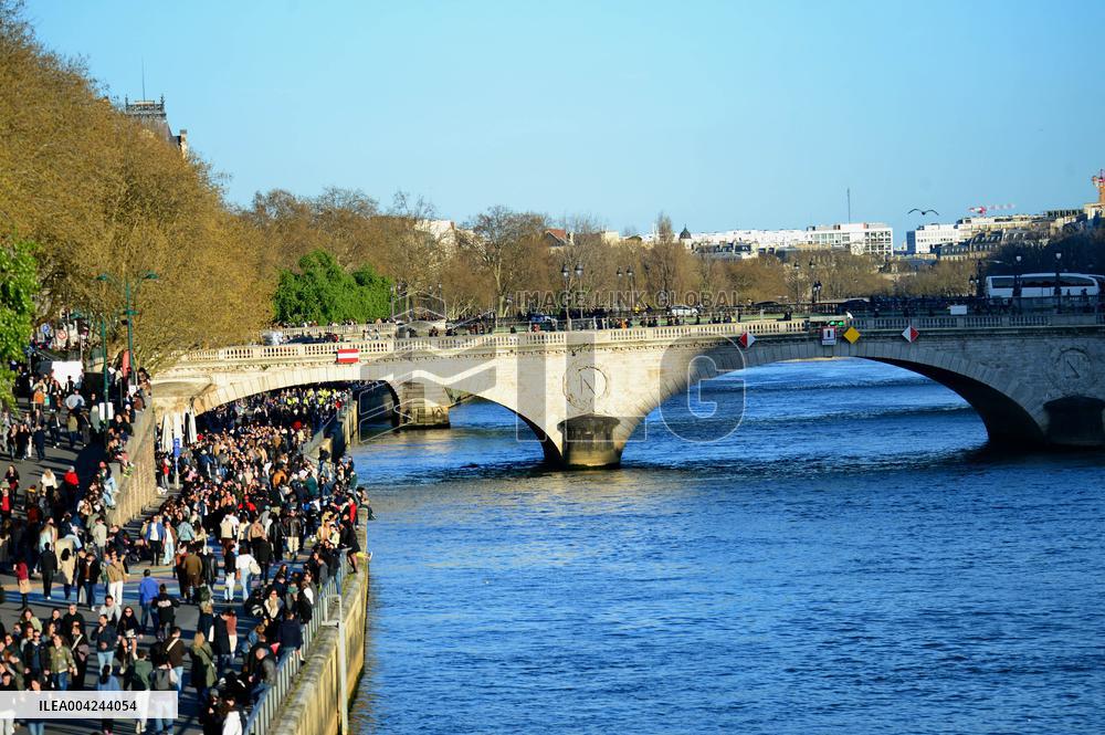 First Rays of Spring Along the Seine - Paris