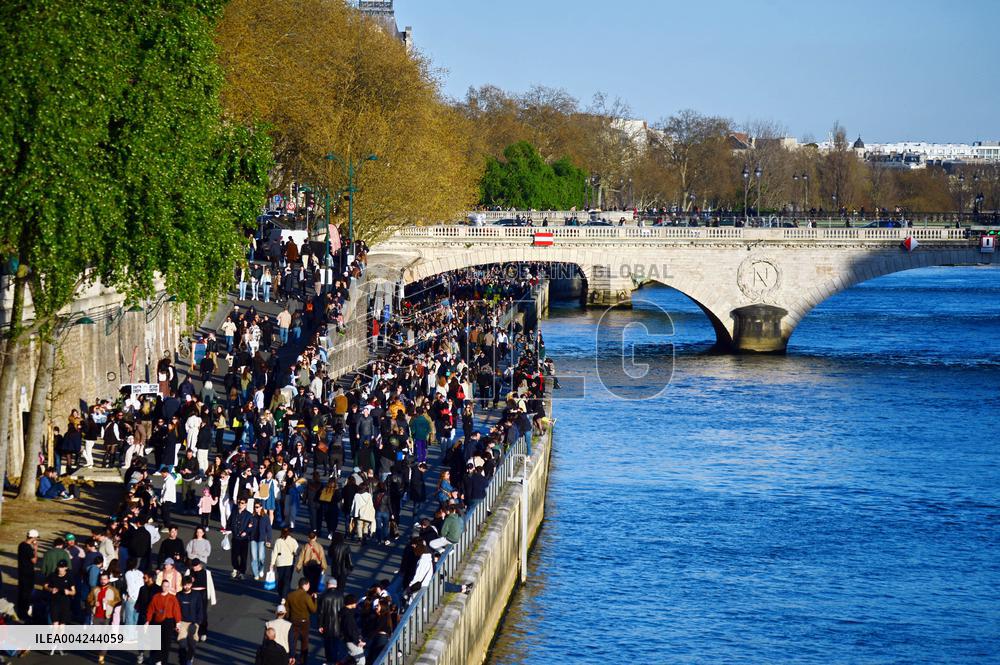 First Rays of Spring Along the Seine - Paris