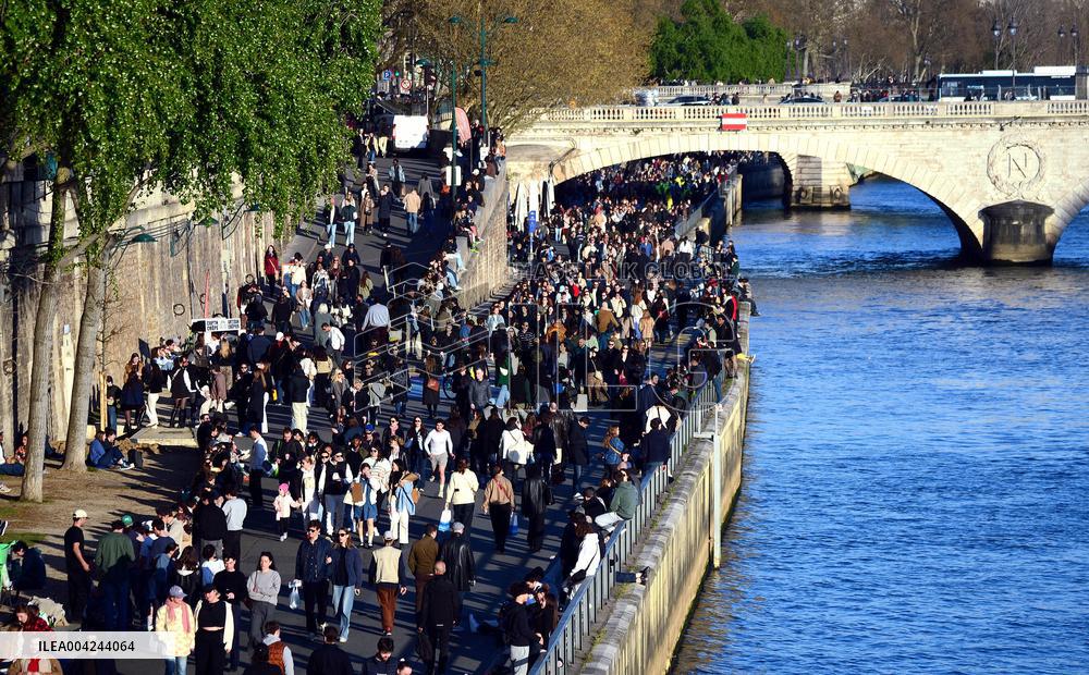 First Rays of Spring Along the Seine - Paris
