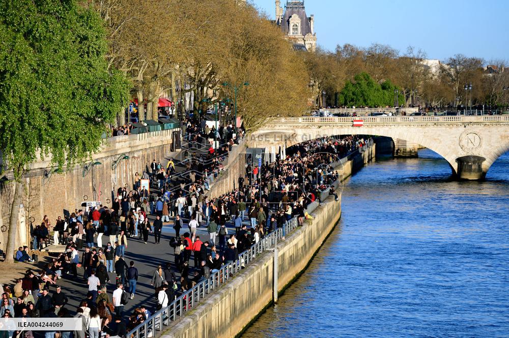 First Rays of Spring Along the Seine - Paris
