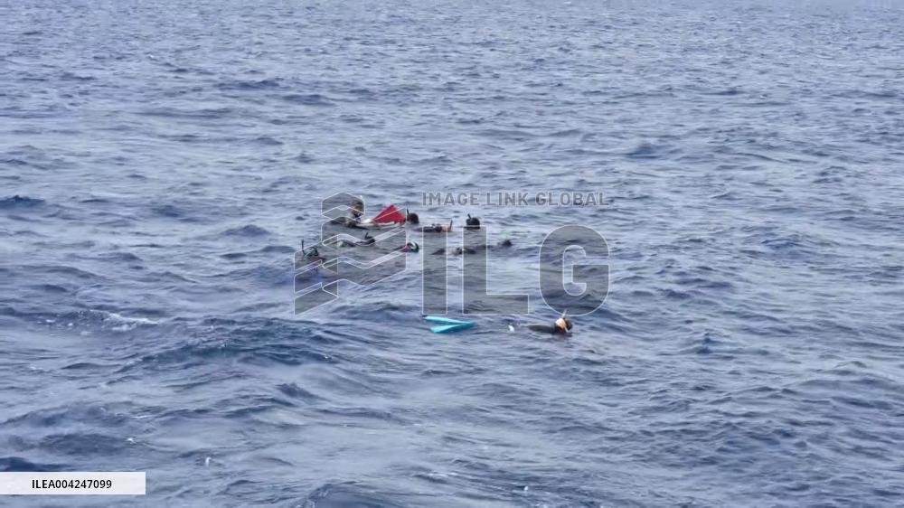 Whale observation tour