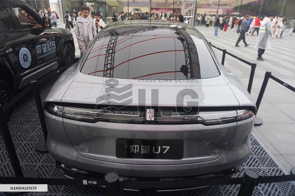 BYD YANGWANG U7 Model