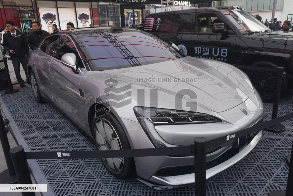 BYD YANGWANG U7 Model